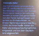 2011-11-26, MM (76)